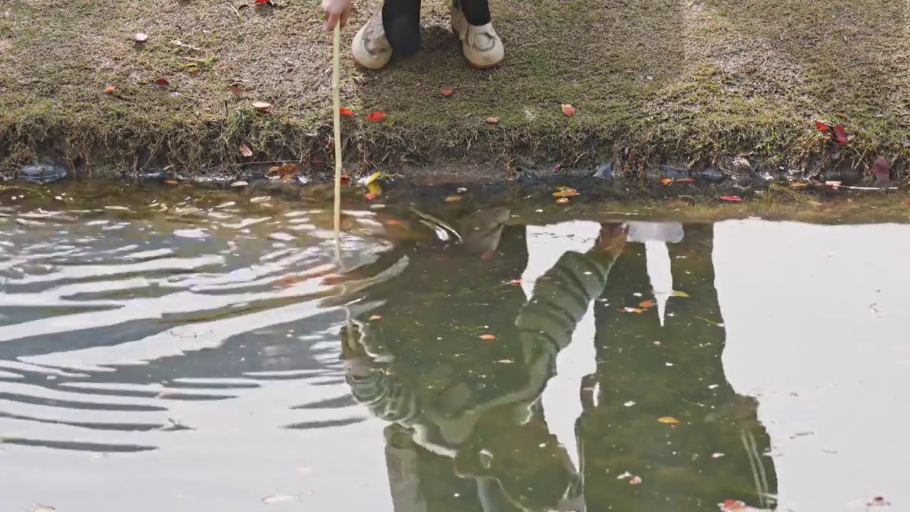 一个女孩儿正在拿着网子捞鱼视频素材