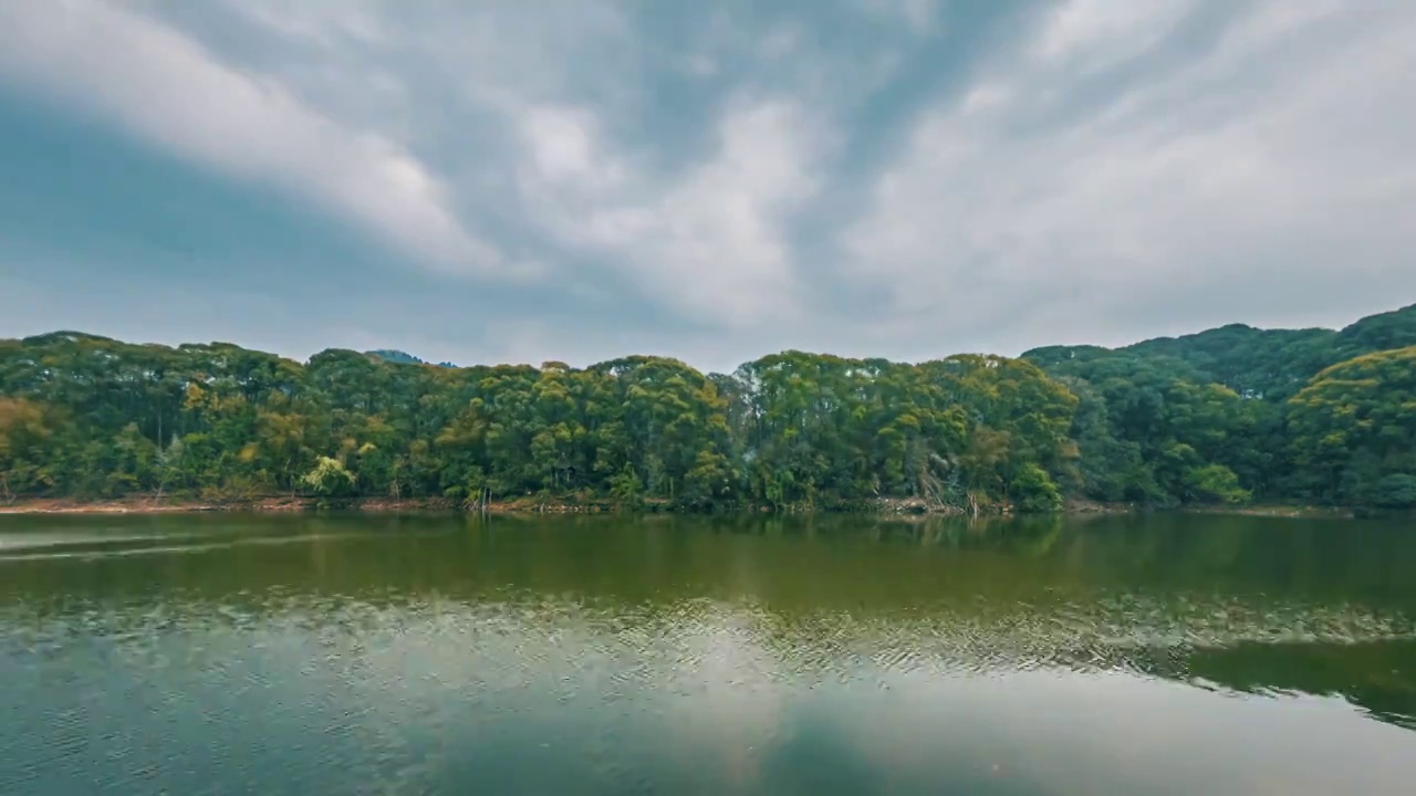 湖边天空森林倒影中的鸟群鸟窝视频素材