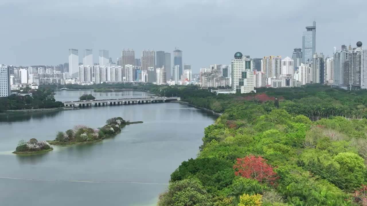 4K航拍南宁南湖公园紫荆花岛视频素材