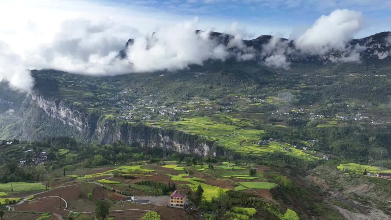 湖北恩施朝东岩绝壁下的油菜花海视频素材