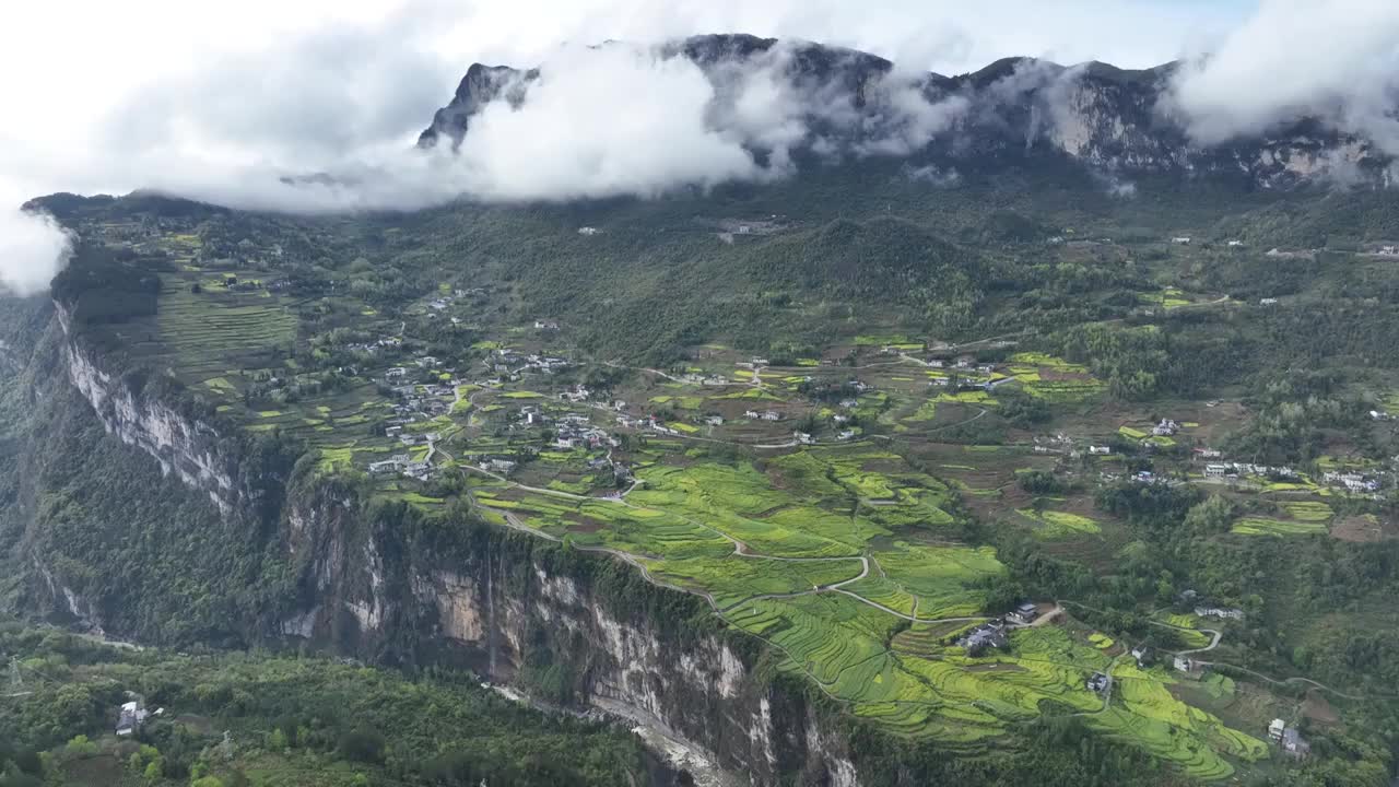 湖北恩施朝东岩绝壁下的油菜花海视频素材