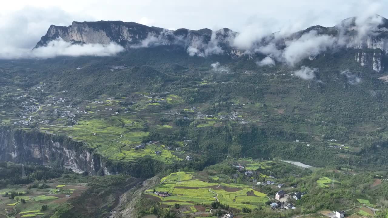 湖北恩施朝东岩绝壁下的油菜花海视频素材