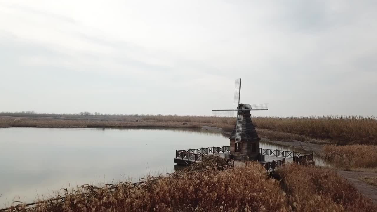 杭州湾湿地 芦苇 动物 水上廊桥视频素材