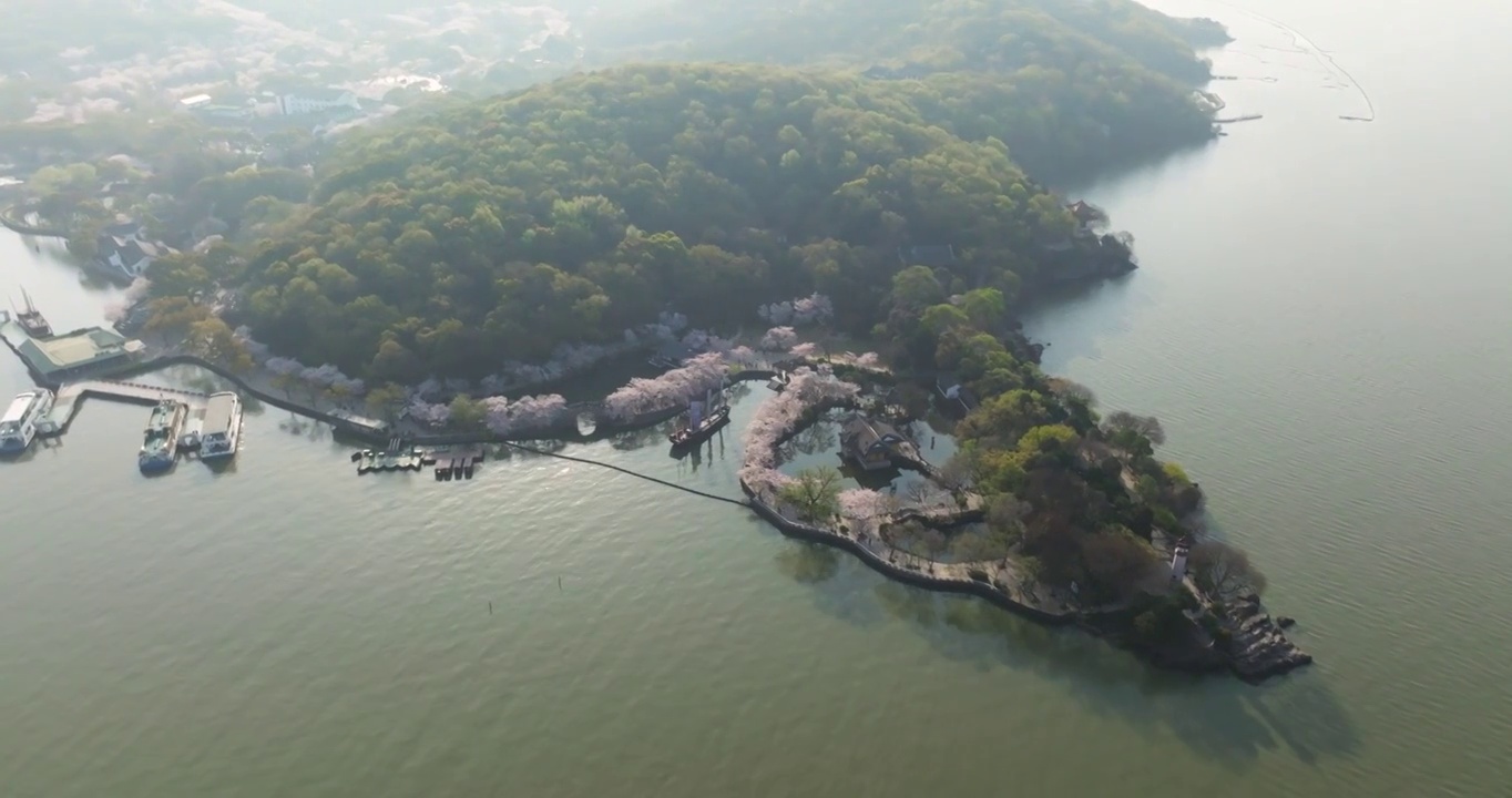 世界三大赏胜地无锡市太湖鼋头渚风景区长春桥樱花太湖风光视频素材