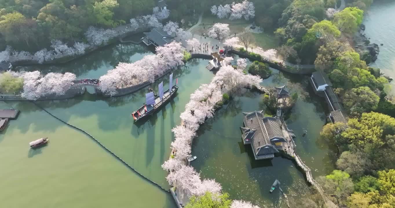 世界三大赏胜地无锡市太湖鼋头渚风景区长春桥樱花太湖风光视频素材