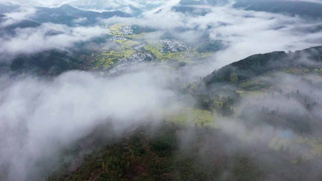 婺源江岭景区油菜花梯田云海风景航拍 合集（合集）视频素材画面1