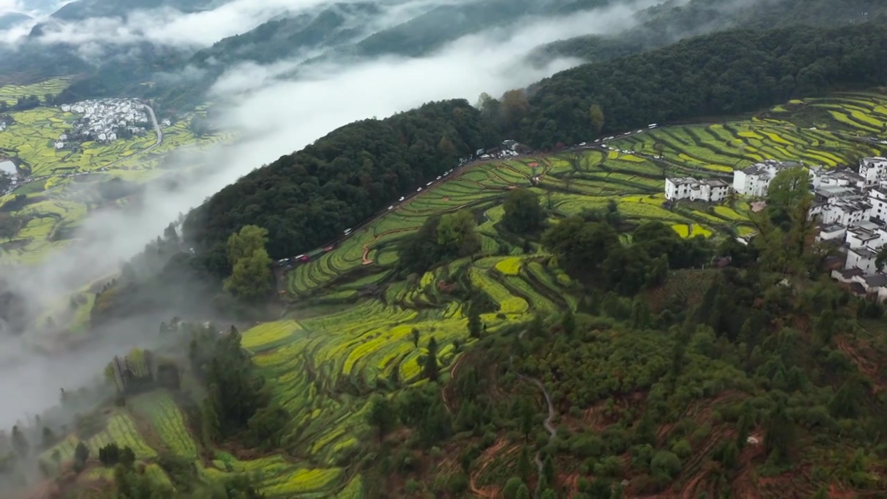 婺源江岭景区油菜花梯田云海风景航拍 合集（合集）视频素材画面2