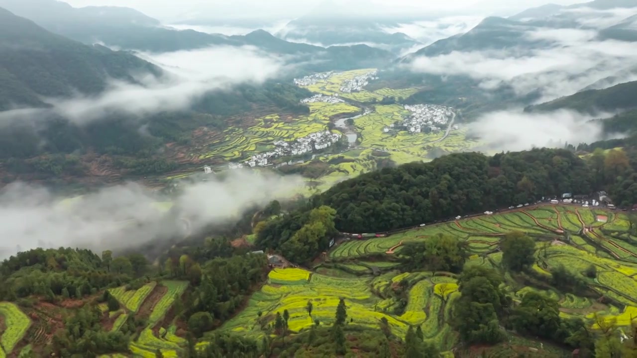 婺源江岭景区油菜花梯田云海风景航拍 合集（合集）视频素材画面3