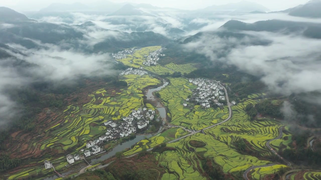 婺源江岭景区油菜花梯田云海风景航拍 合集（合集）视频素材画面4