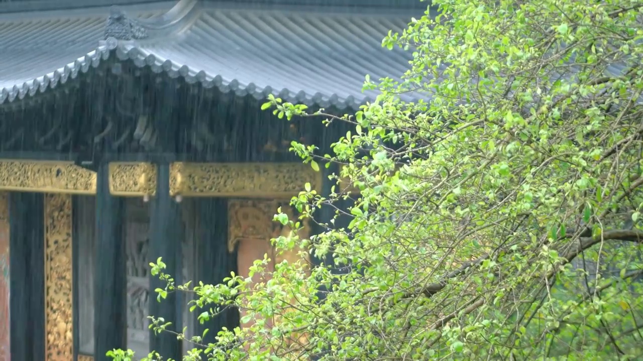 春夏雨季来临古城华丽戏台笼罩在雨中蒙蒙细雨如烟如雾飘飘洒洒雨水冲刷着森林院落树木叶子滴着水珠溅起水花视频素材