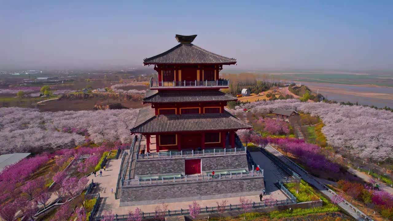 郑州黄河丰乐樱花园樱花博物馆视频素材