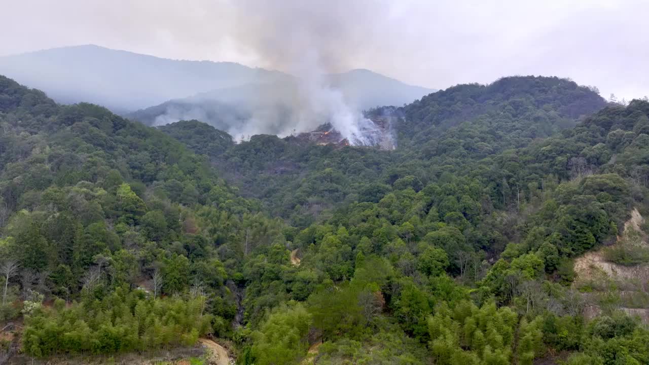 福建山区烧山除虫视频素材