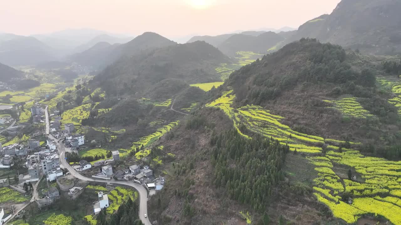 罗平油菜花海视频素材