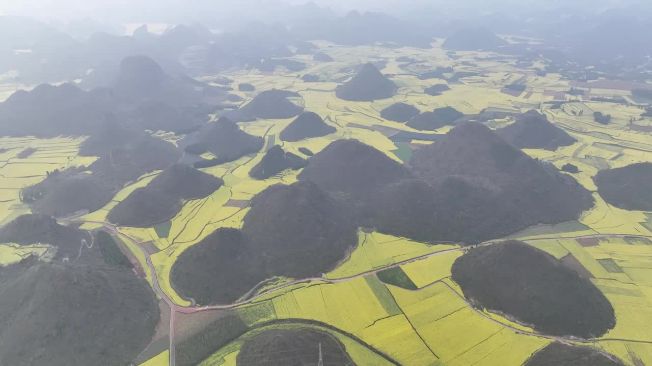 罗平油菜花海视频素材