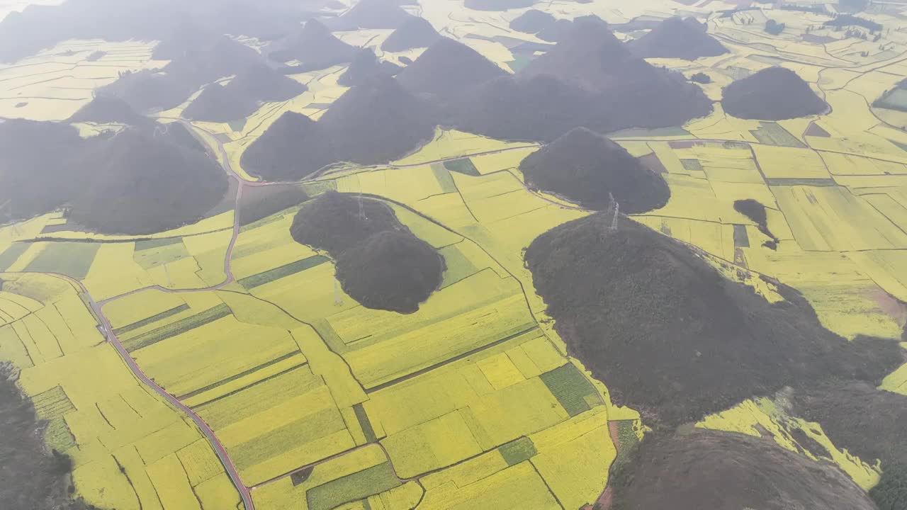 罗平油菜花海视频素材