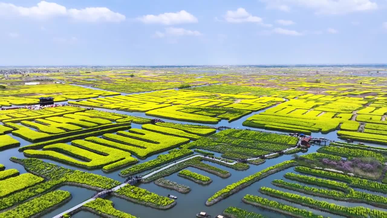 兴化千垛景区春光，江苏泰州兴化视频素材画面1