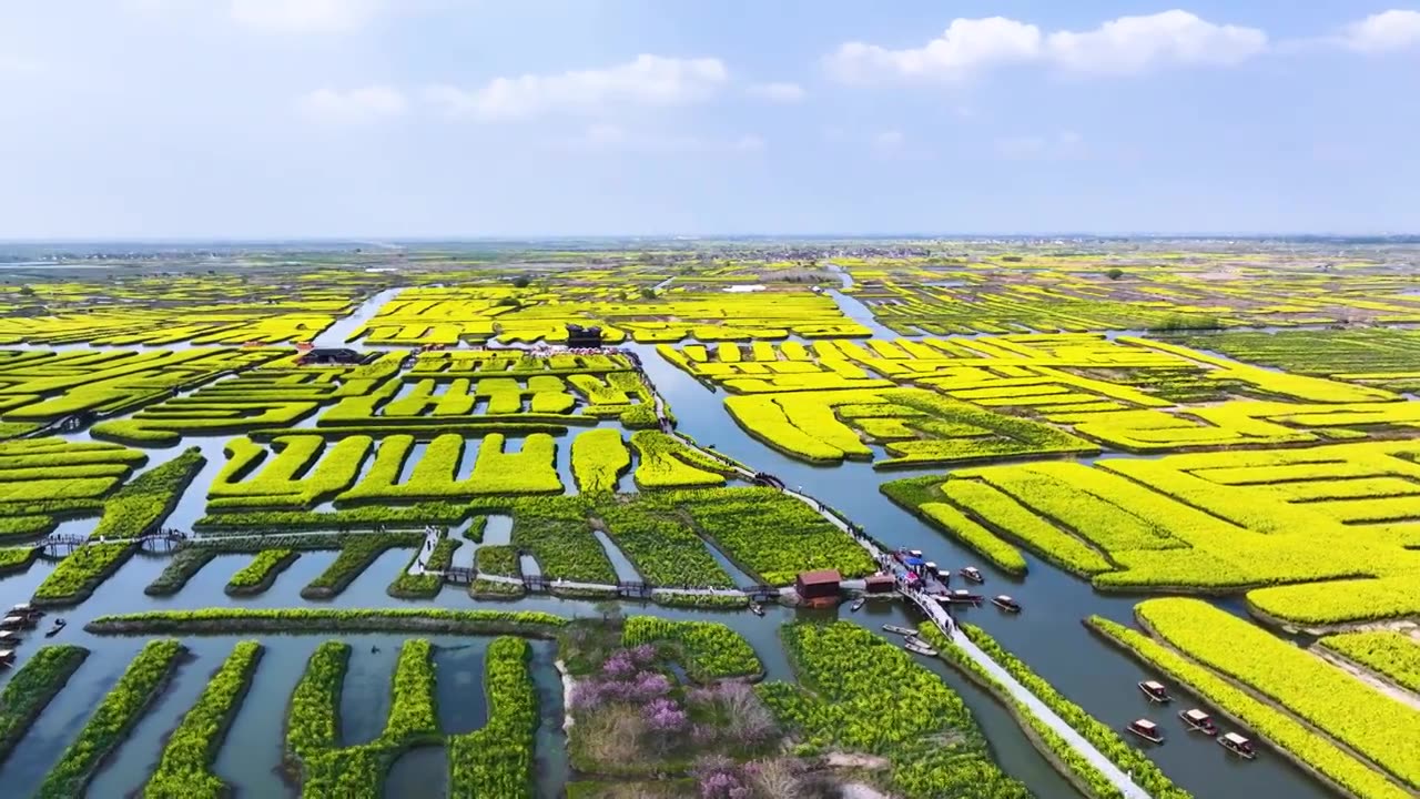 兴化千垛景区春光，江苏泰州兴化视频素材画面2