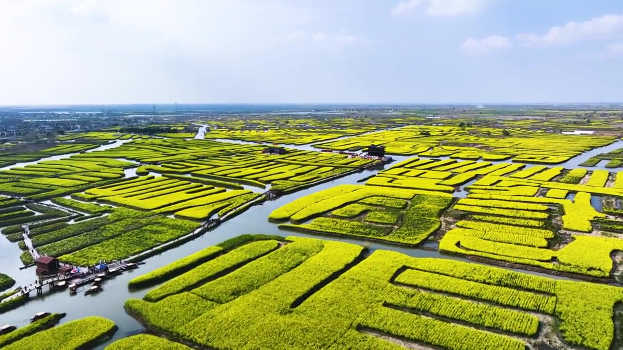 兴化千垛景区春光，江苏泰州兴化视频素材画面3