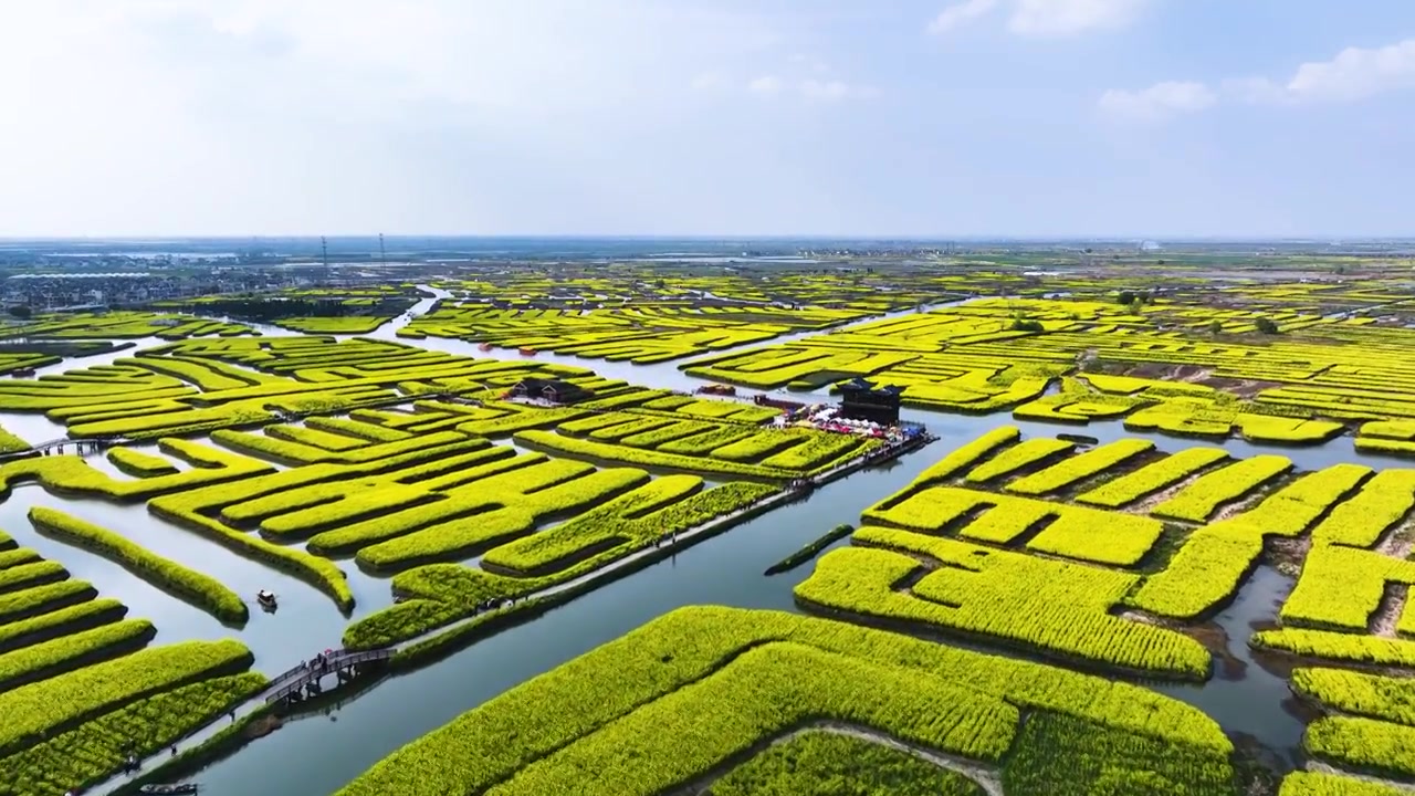 兴化千垛景区春光，江苏泰州兴化视频素材画面4