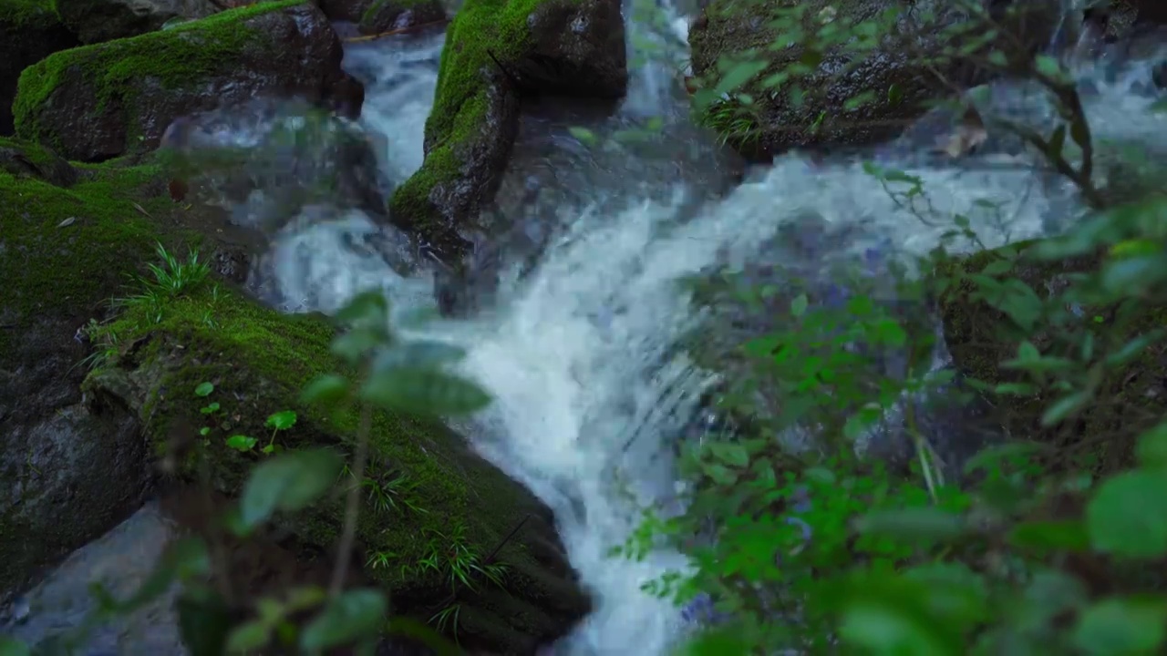 山间的水流视频素材