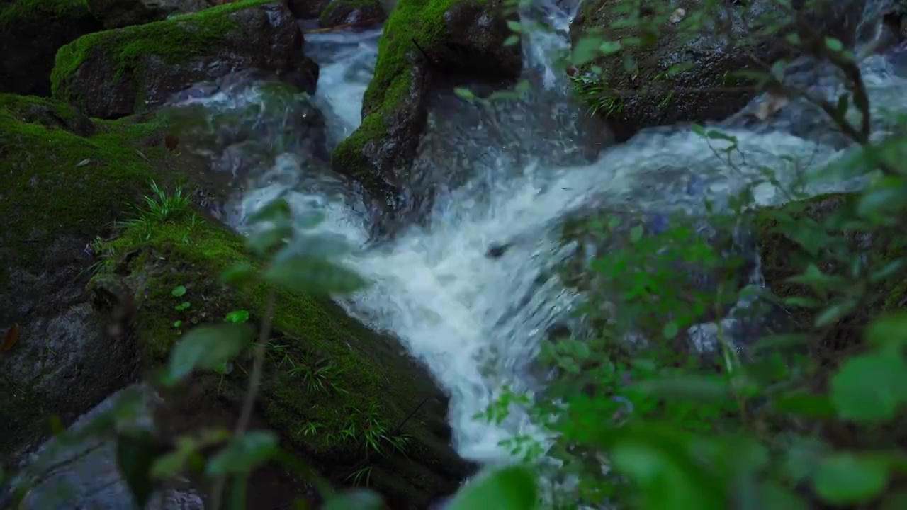 山间的水流视频素材