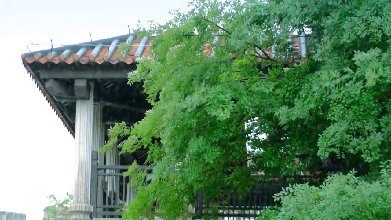 春夏雨季来临古城亭台楼阁笼罩在雨中蒙蒙细雨如烟如雾雨水冲刷森林院落叶子滴着水珠溅起水花适合人修心养性视频素材