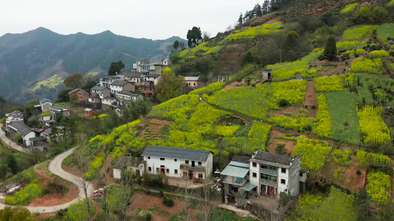 黄山歙县岔口高庄村全貌风光航拍合集视频素材