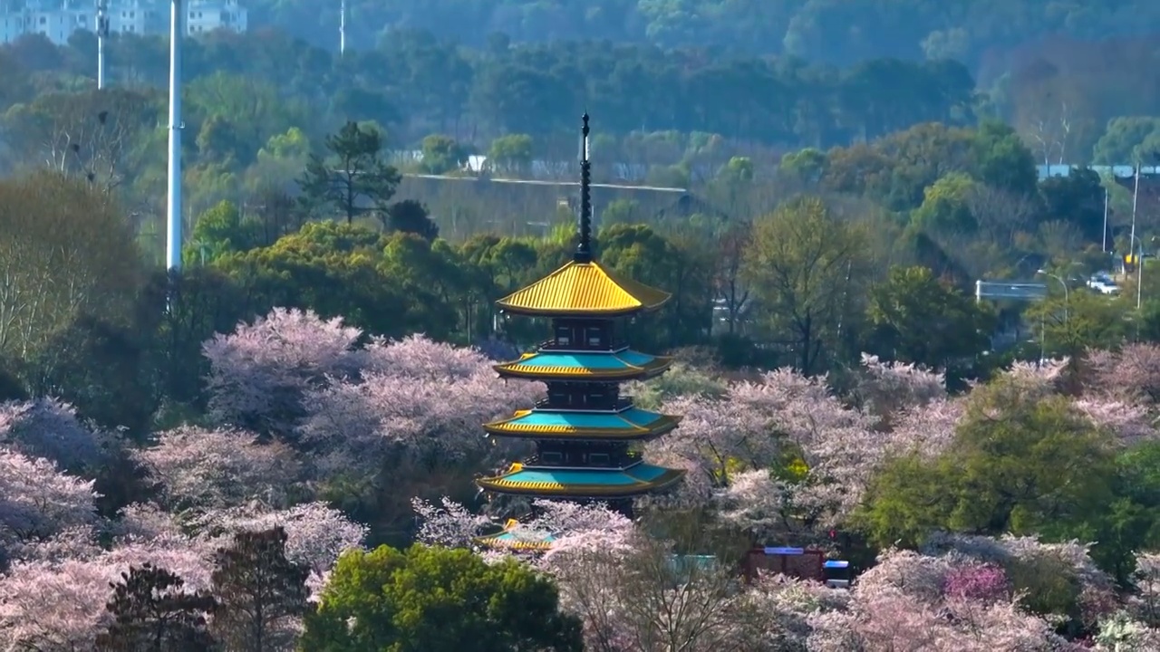 湖北武汉东湖樱园五重塔春季航拍风光视频素材