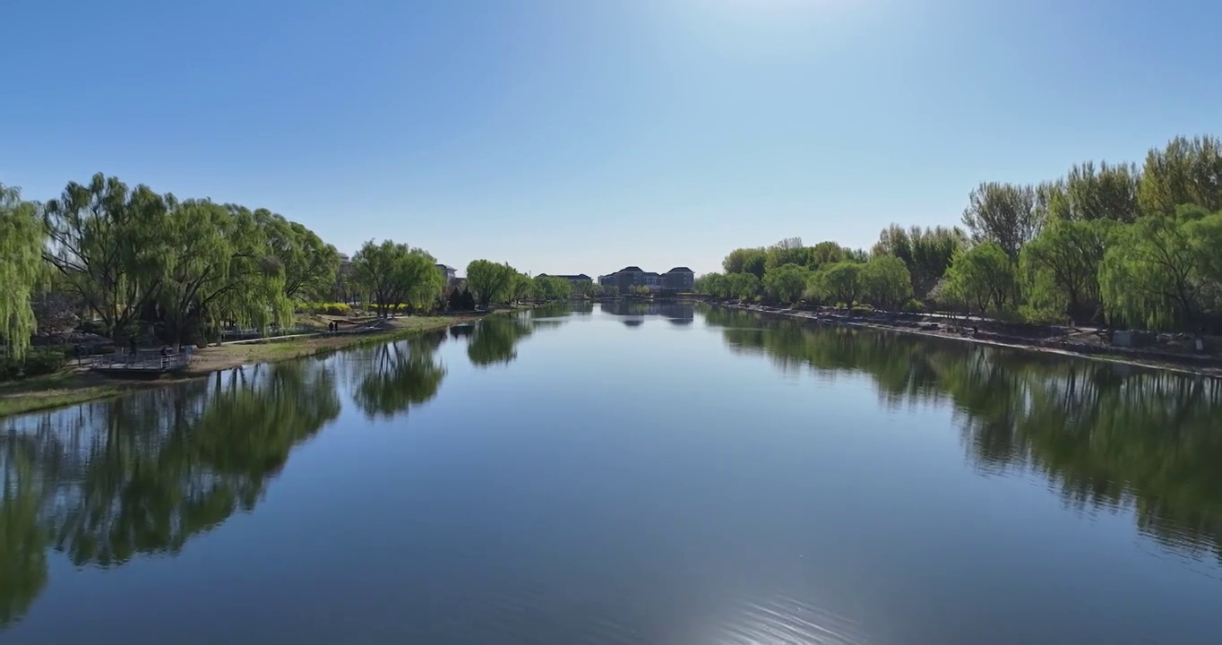 航拍空中鸟瞰春天公园湖两岸的风景视频素材