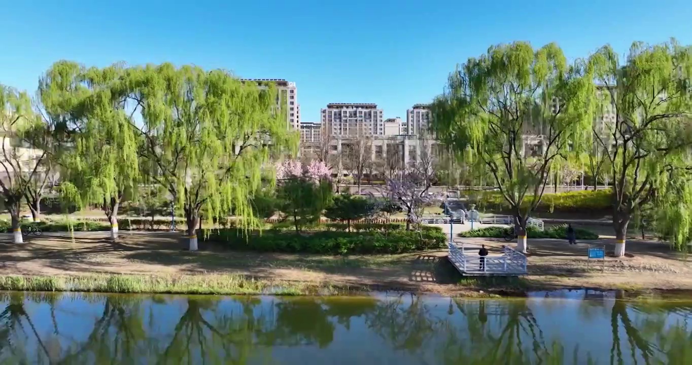 航拍空中鸟瞰春天公园湖两岸的风景视频素材