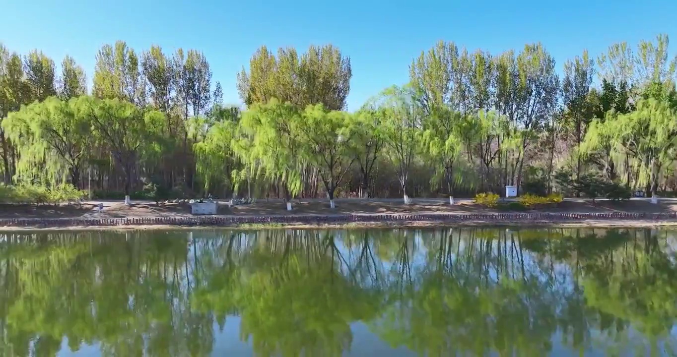 航拍空中鸟瞰春天公园湖两岸的风景视频素材