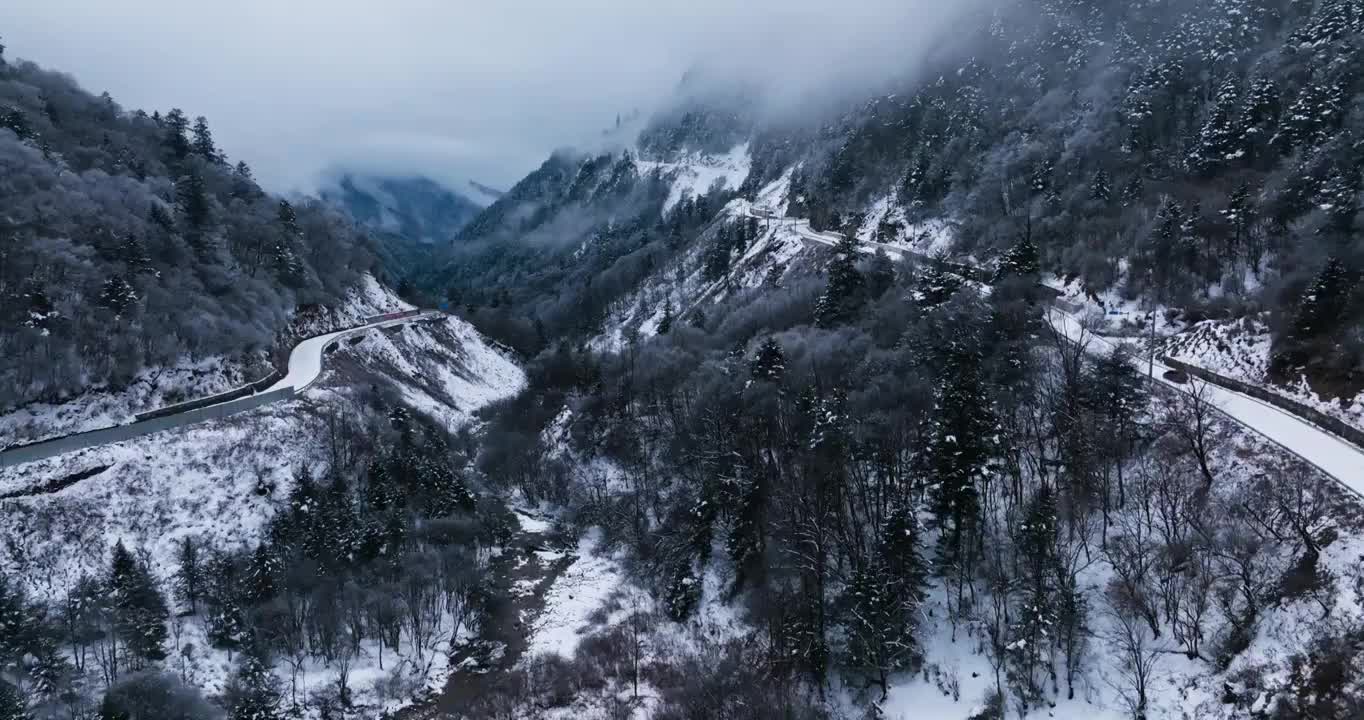 冬季山谷里前往夹金山的盘山公路白雪树林视频素材