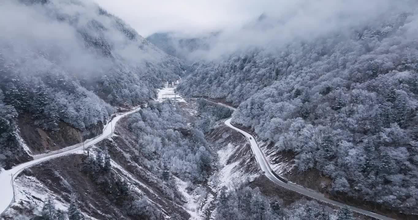 冬季山谷里前往夹金山的盘山公路白雪树林视频素材