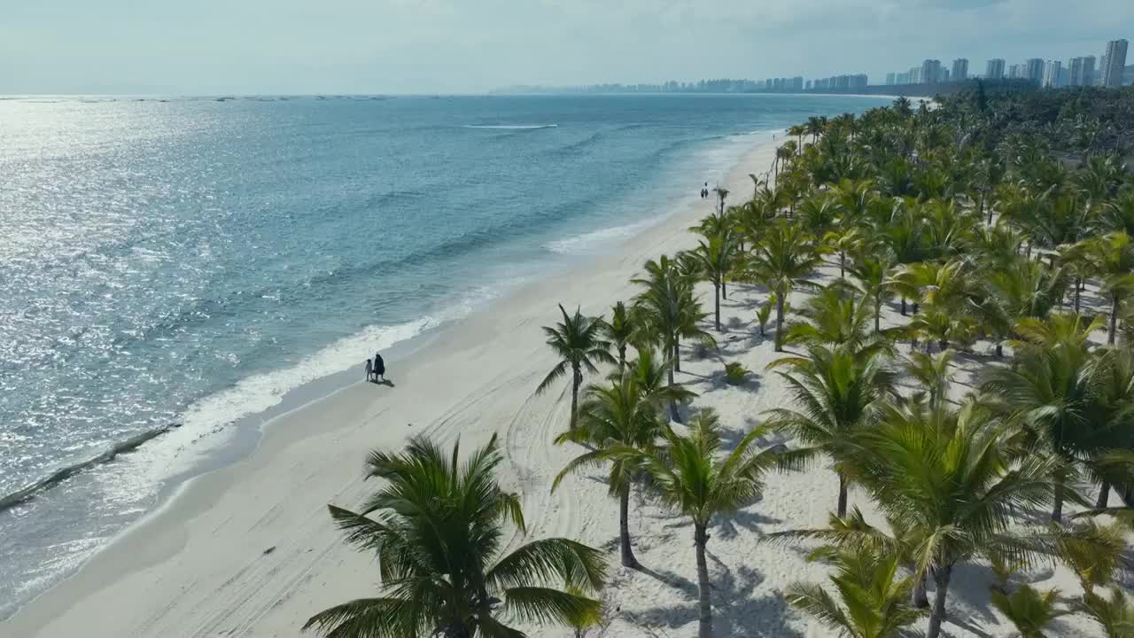 海南椰林阳光沙滩航拍视频素材