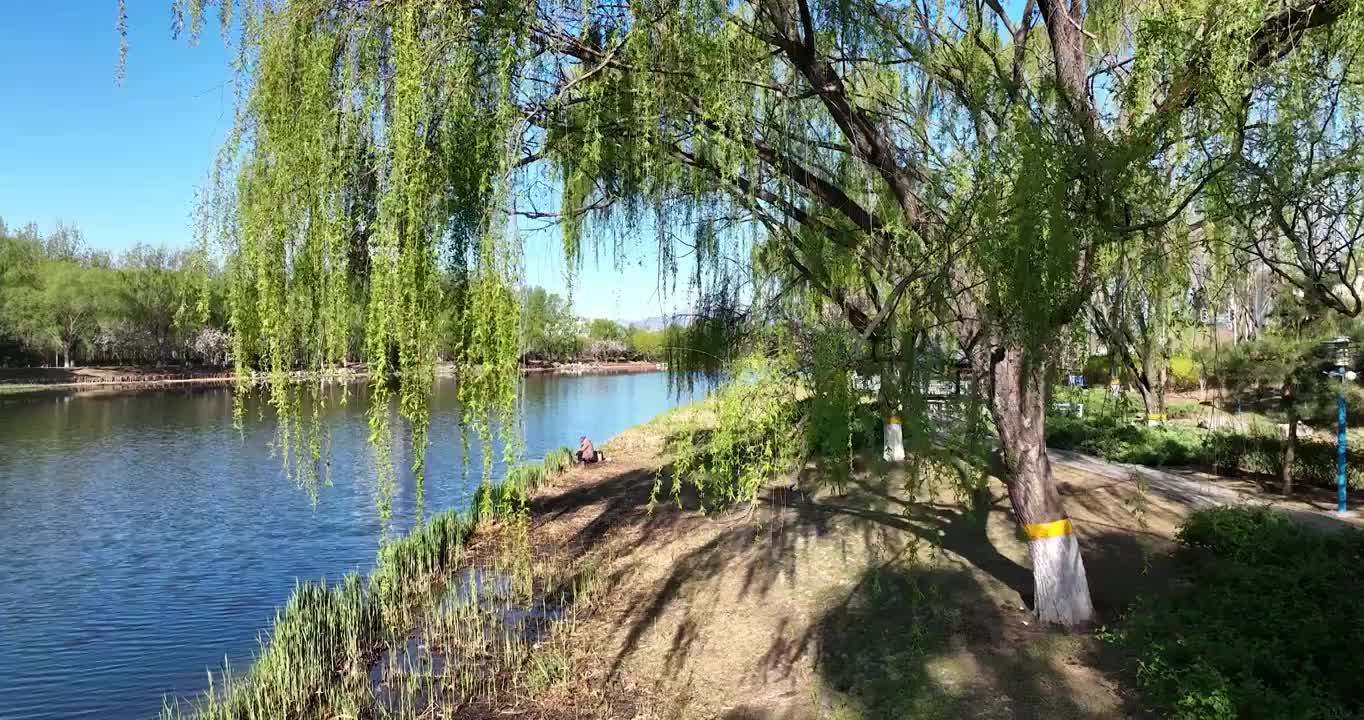 航拍空中鸟瞰春天公园湖两岸的风景视频素材