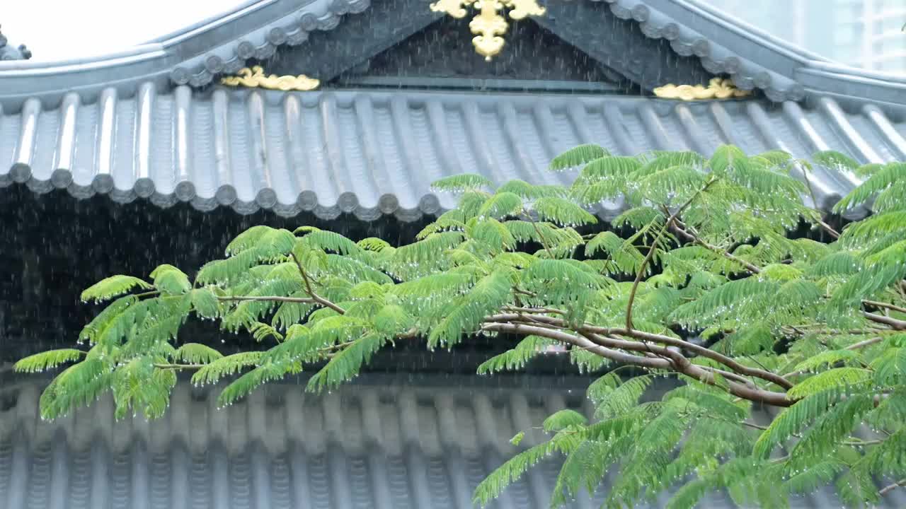 下雨天滂沱大雨雨水从古代建筑古典风格水珠沾满树叶古城里湿漉漉亭台楼阁被滂沱大雨冲刷出中华古典文化气息视频素材