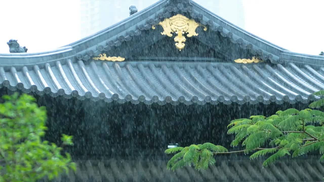 下雨天滂沱大雨雨水从古代建筑古典风格水珠沾满树叶古城里湿漉漉亭台楼阁被滂沱大雨冲刷出纯洁清净的境界视频素材