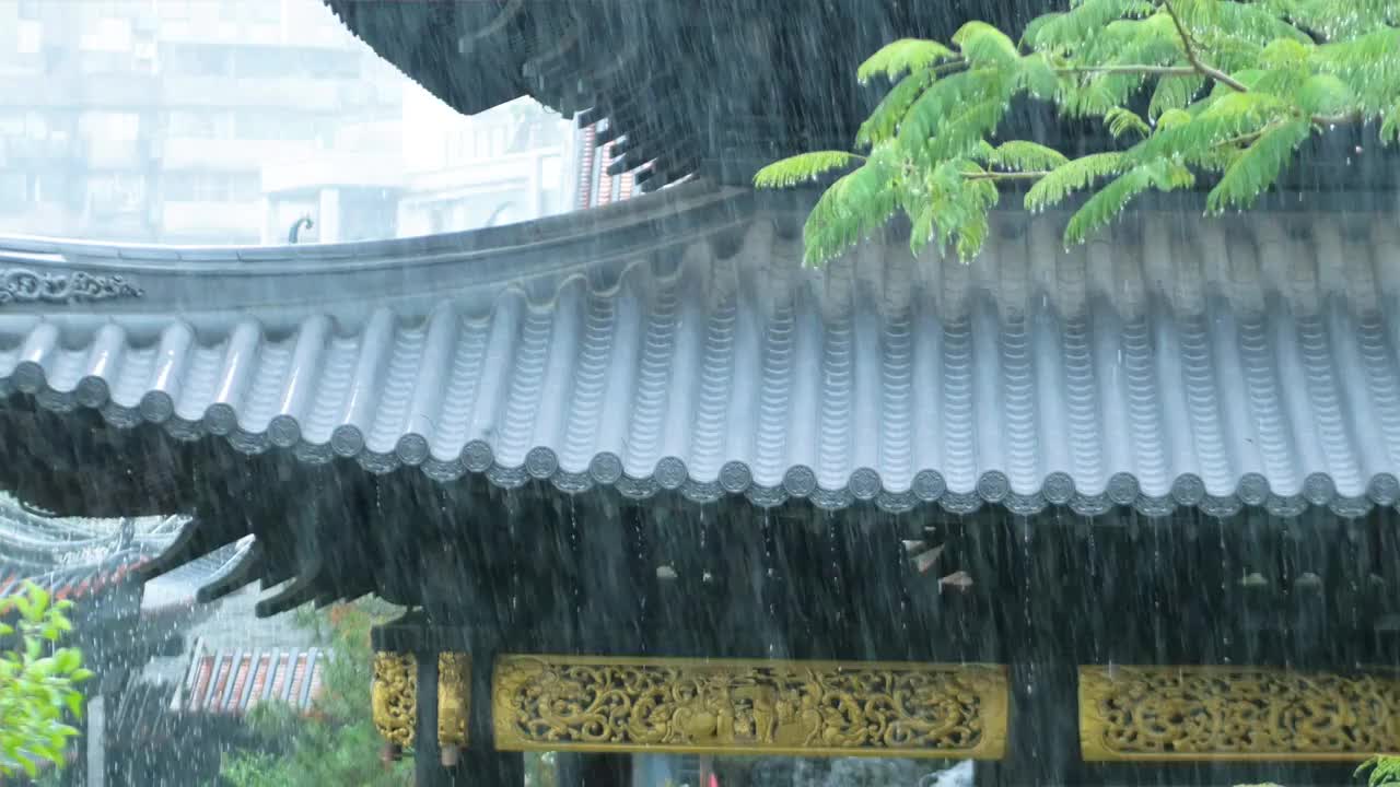 下雨天古城里亭台楼阁被雨水冲刷着树木叶子滴着水珠雨水沥沥下烟雨迷蒙早春四月清明时节雨纷纷南方暴雨增多视频素材