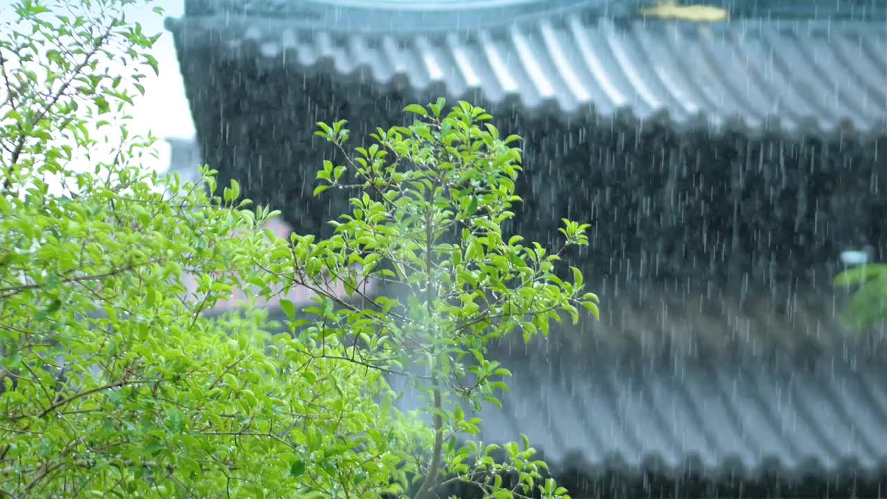 下雨天滂沱大雨雨水从古代建筑古典风格水珠沾满树叶古城里湿漉漉亭台楼阁被滂沱大雨冲刷出纯洁清净的境界视频素材