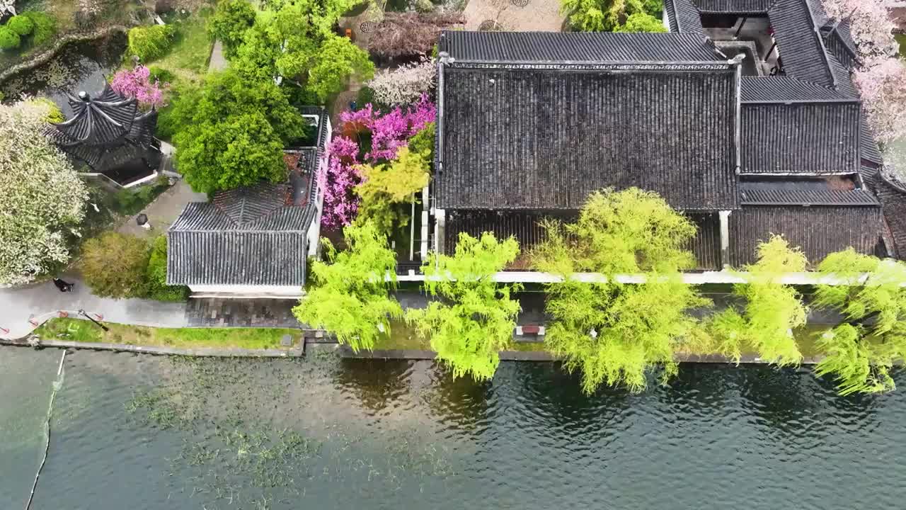 莫愁湖的春天，江苏南京视频素材