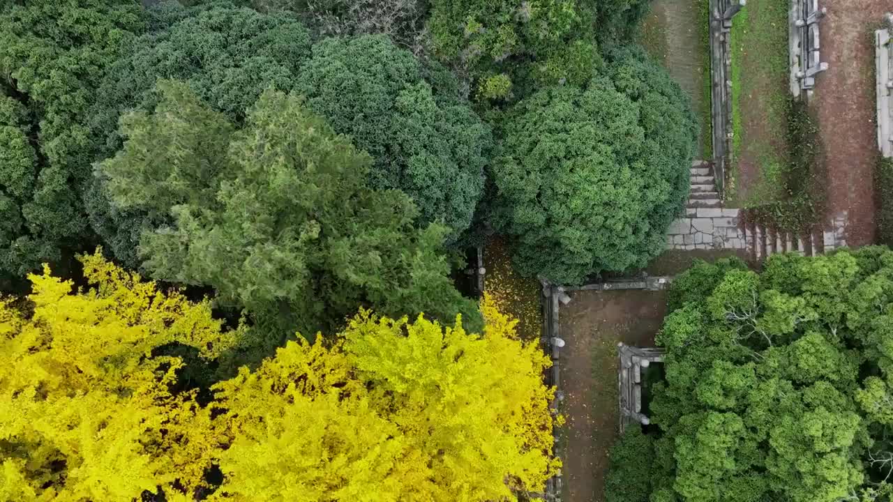 航拍江苏南京明孝陵享殿遗址秋色视频素材