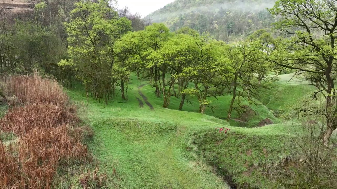 湖北建始县花坪镇杨树湿地草原风光视频素材