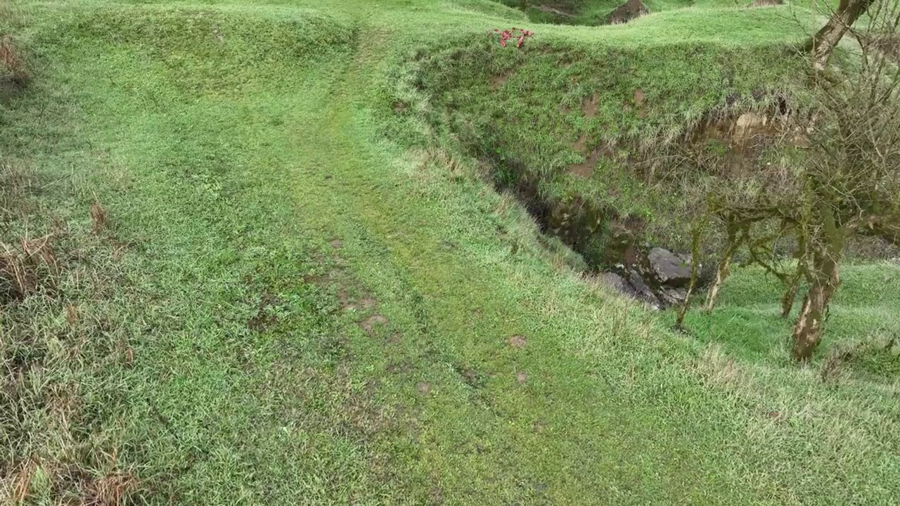 湖北建始县花坪镇杨树湿地草原风光视频素材