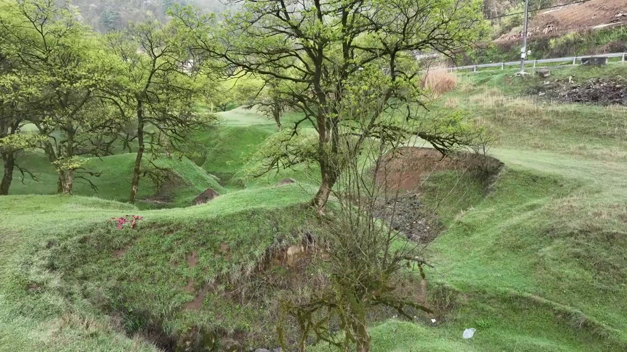 湖北建始县花坪镇杨树湿地草原风光视频素材