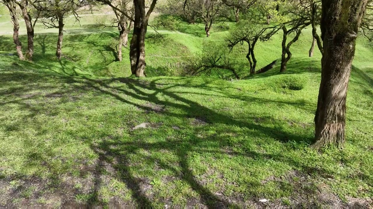 湖北建始县花坪镇杨树湿地草原风光视频素材