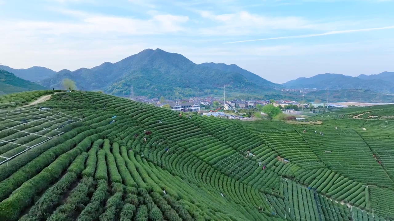 浙江杭州：航拍龙坞西湖龙井茶园风光视频素材