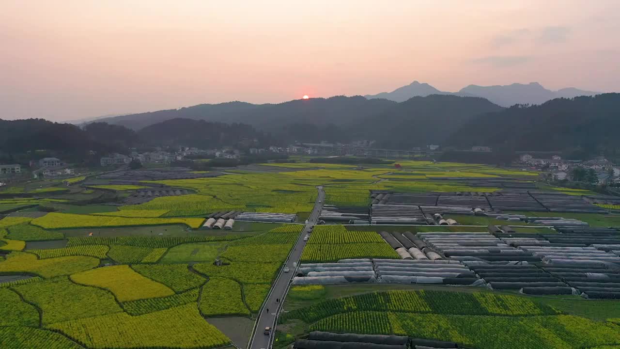 贵州春天油菜花盛开露营 航拍 滑翔伞视频素材