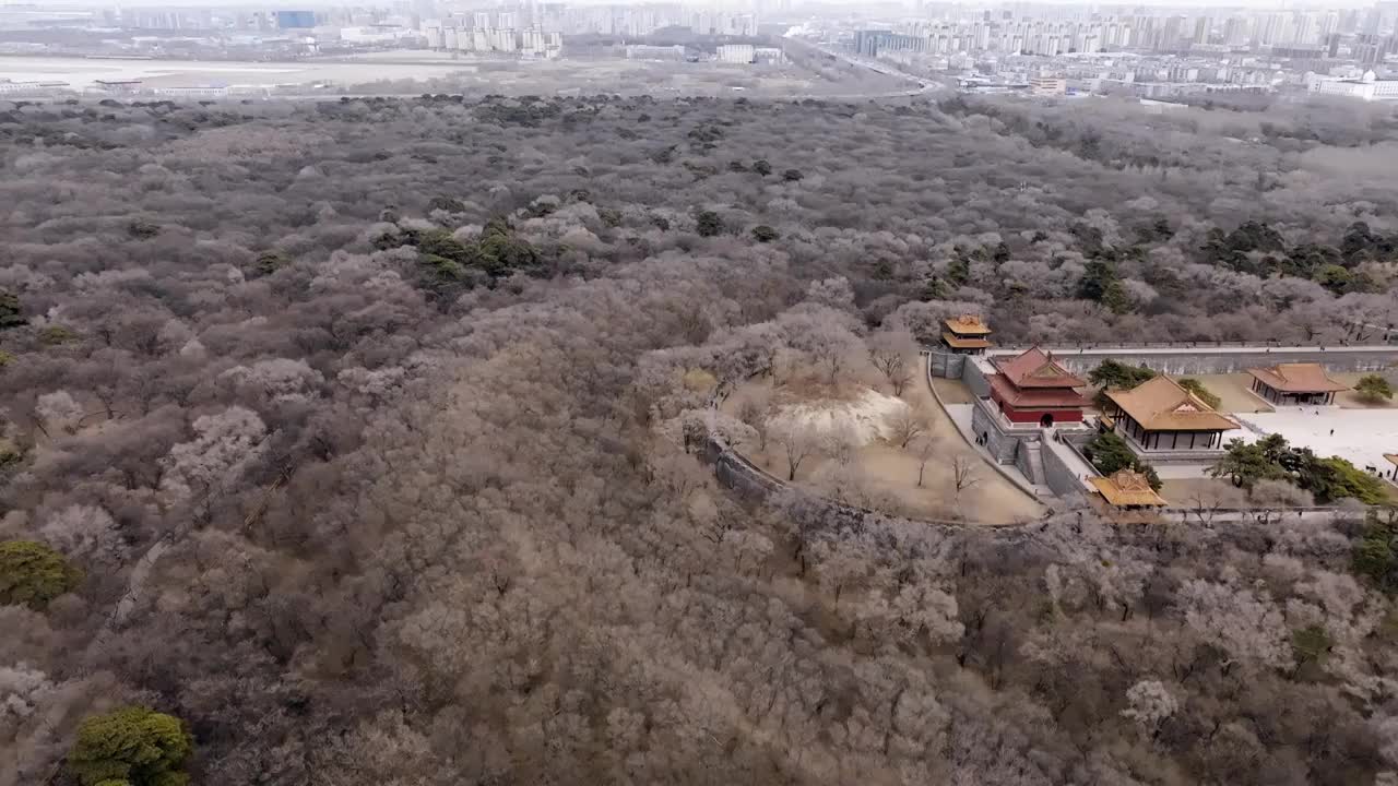 辽宁省沈阳市北陵公园早春风光（航拍）视频素材