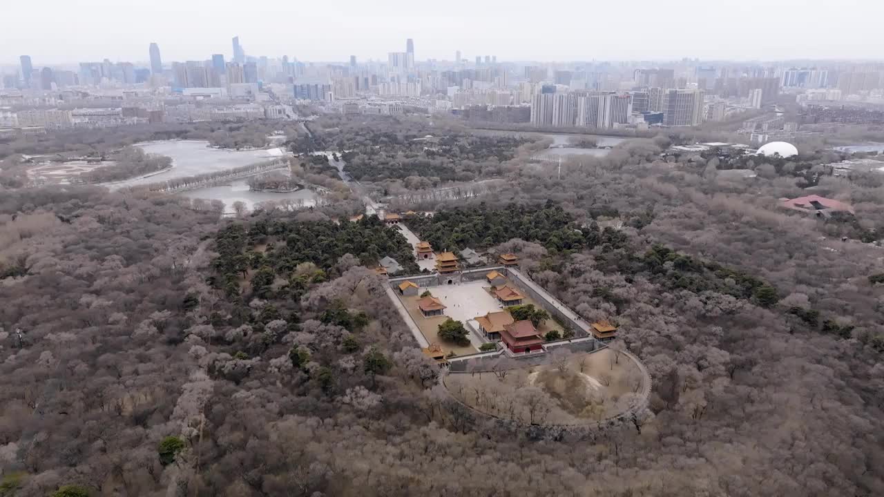 辽宁省沈阳市北陵公园早春风光（航拍）视频素材