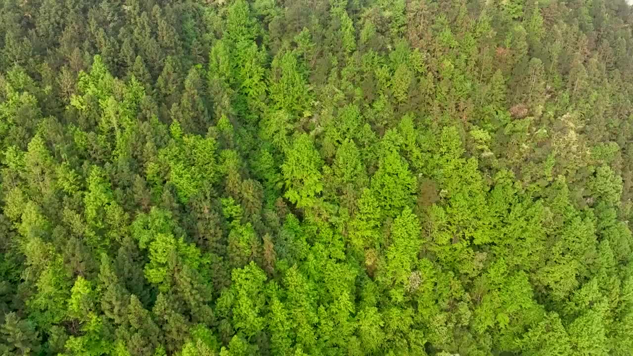 航拍山岭村庄日出云海视频素材